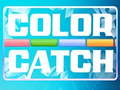 leikur Color Catch