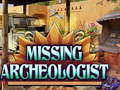 leikur Missing Archeologist