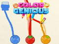 leikur Color Genious