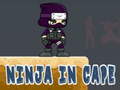 leikur Ninja in Cape