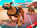 leikur Crazy Dog Race