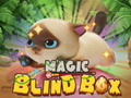 leikur Magic Blind Box
