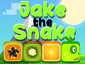 leikur Jake The Snake