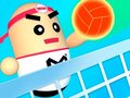 leikur 3D Amazing VolleyBall