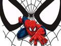 leikur Spiderman Match Cards