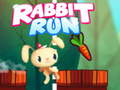 leikur Rabbit Run