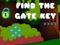 leikur Find the Gate Key