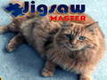 leikur Jigsaw Master 
