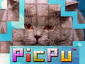 leikur PicPu Cat 