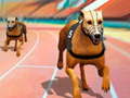 leikur Dogs3D Races