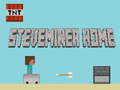 leikur Steveminer Home