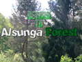 leikur Return To Alsunga Forest