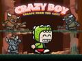 leikur Crazy Boy Escape From The Cave