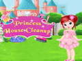 leikur Princess House Cleanup