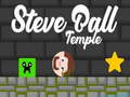 leikur Steve Ball Temple