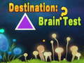 leikur Destination: Brain Test