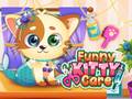 leikur Funny Kitty Care