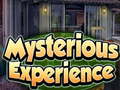 leikur Mysterious Experience