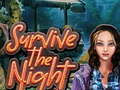 leikur Survive the Night