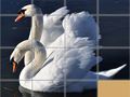 leikur Animals Slide Puzzle