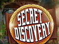 leikur Secret Discovery