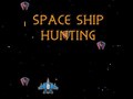 leikur Space Ship Hunting