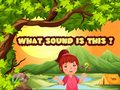 leikur What Sound Is This?