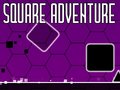 leikur Square Adventure