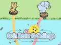 leikur Brain Master IQ Challenge