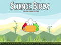 leikur Science Birds