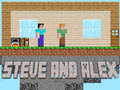 leikur Steve and Alex