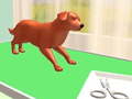 leikur Pet Care
