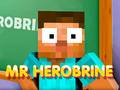 leikur Mr Herobrine