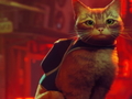 leikur Stray