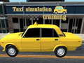 leikur Taxi simulation training