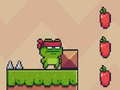 leikur Ninja Frog Adventure