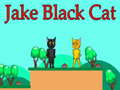 leikur Jake Black Cat