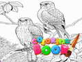 leikur Coloring Book for Adults