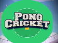 leikur Pong Cricket