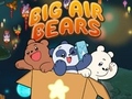 leikur Big Air Bears