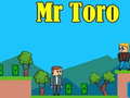 leikur Mr Toro
