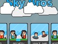leikur Sky Bros