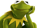leikur Coloring Book For Kermit the Frog 