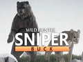 leikur Wild Hunter sniper buck
