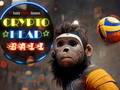 leikur Crypto Head Ball