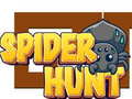 leikur Spider Hunt