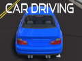 leikur Car Driving