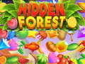 leikur Hidden Forest