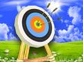 leikur Archer Master