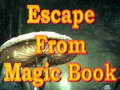 leikur Escape From Magic Book